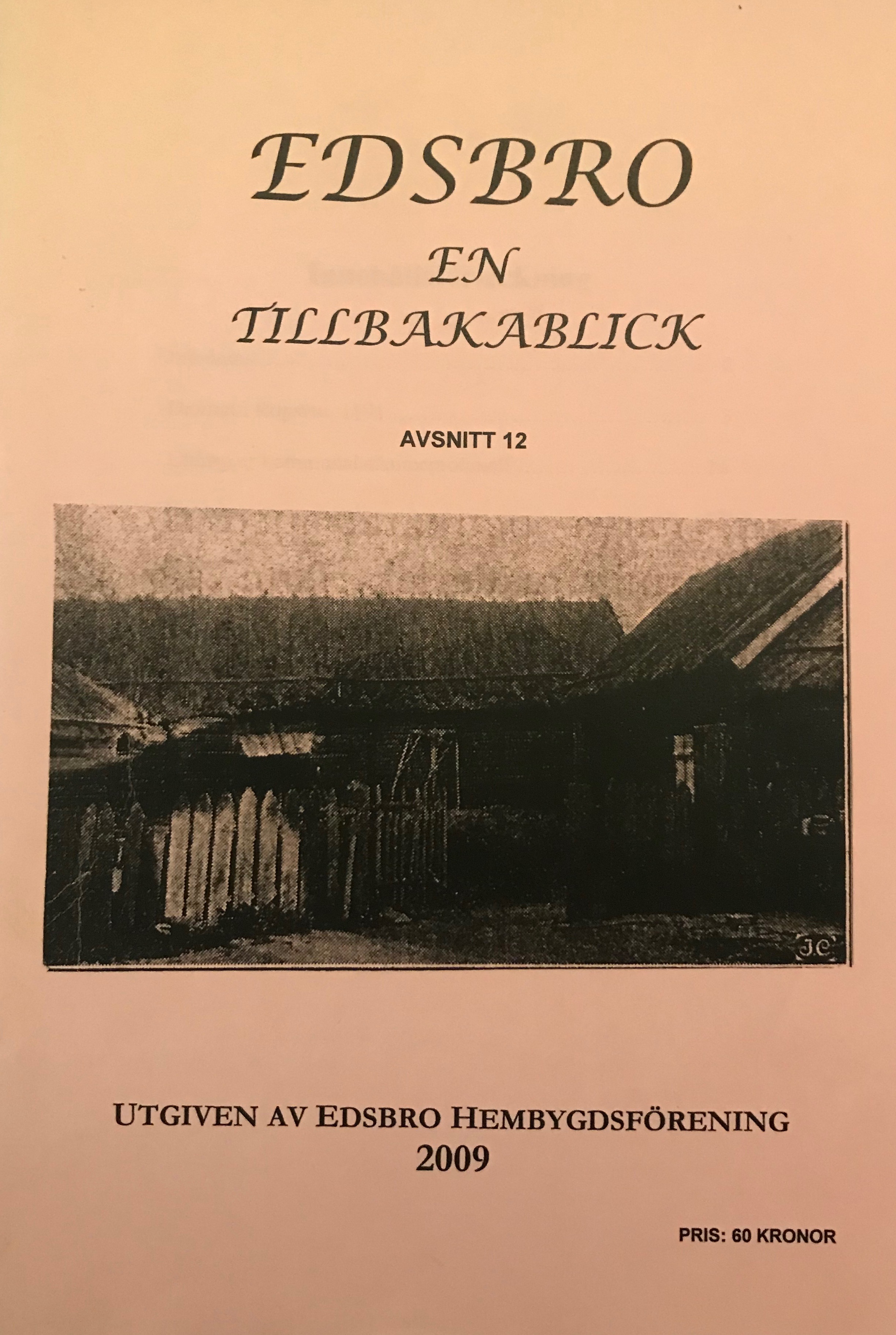 Tillbakablick nr 12. 2009